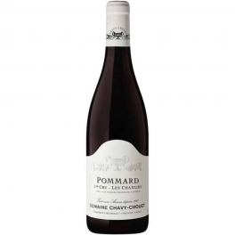 Pommard 1er Cru Chanlins 2022